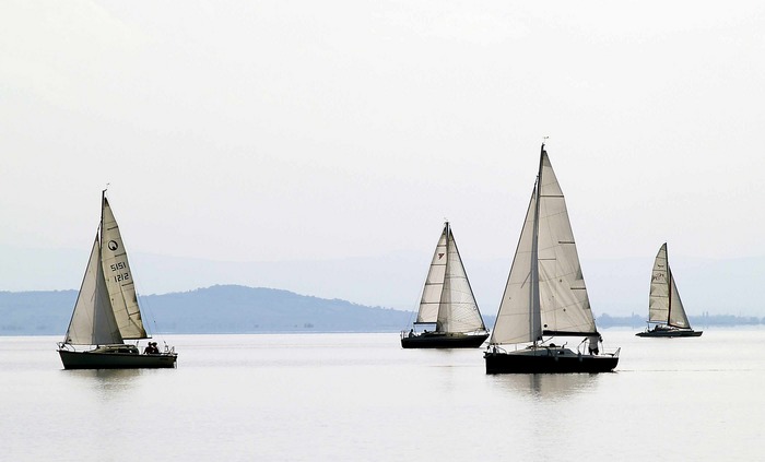 Neusiedlersee2