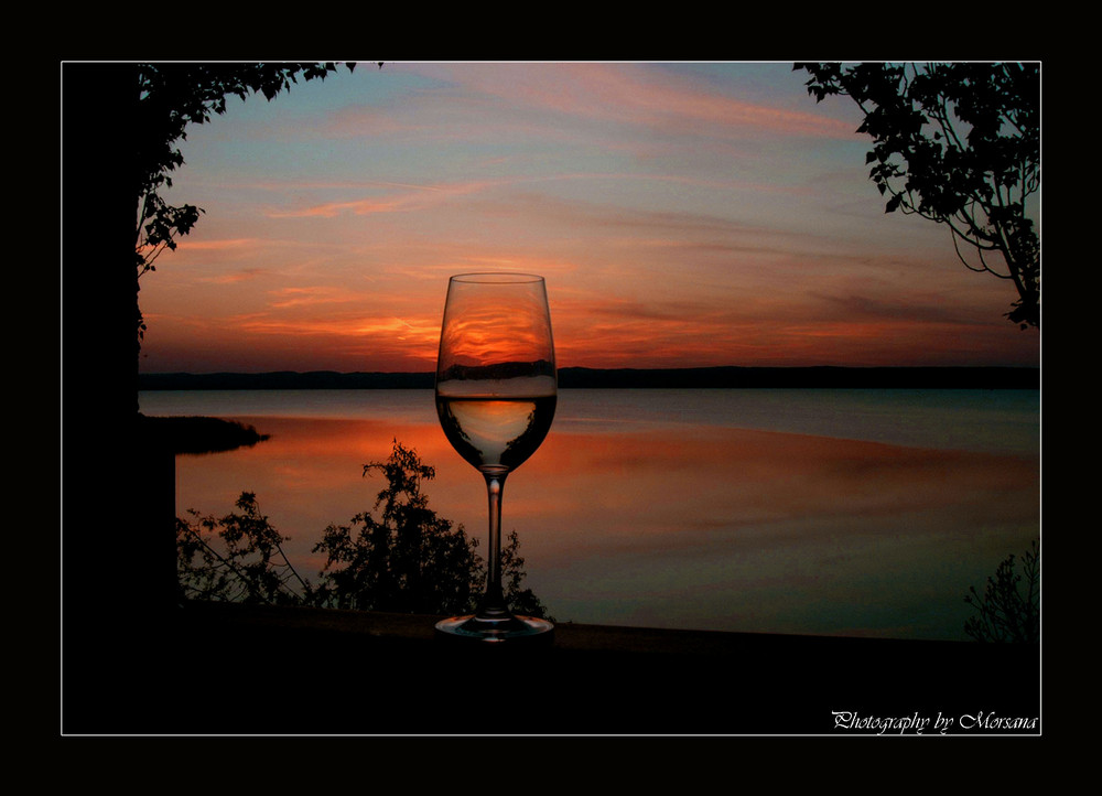 Neusiedlerseeblick