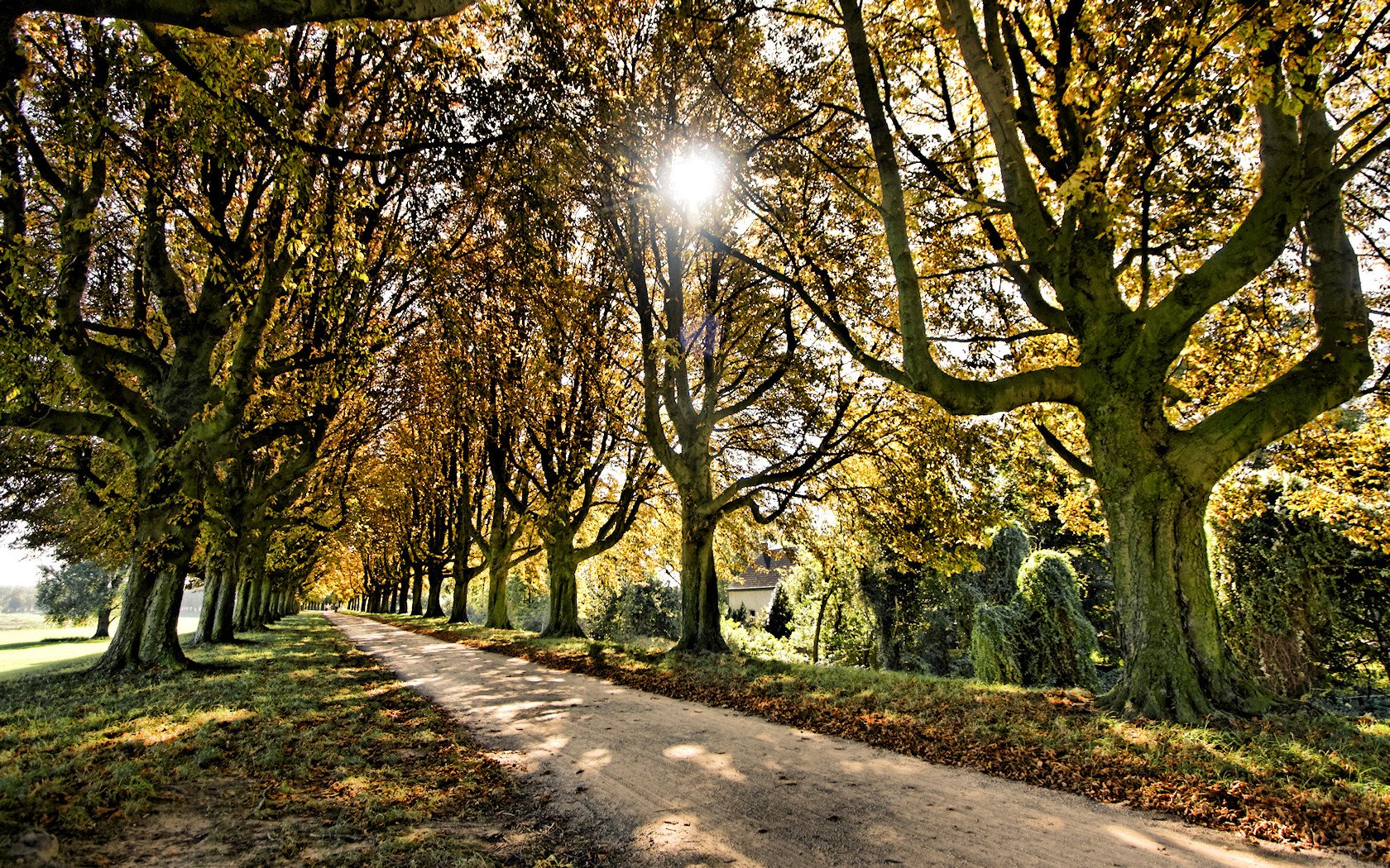 Neuss, Deichweg, Oktober 2011