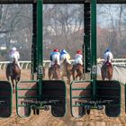 Neuss Galopp Rennbahn mit dem „Preis der Stadt Neuss“