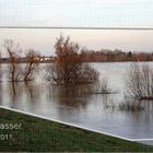 Neusser Hochwasser