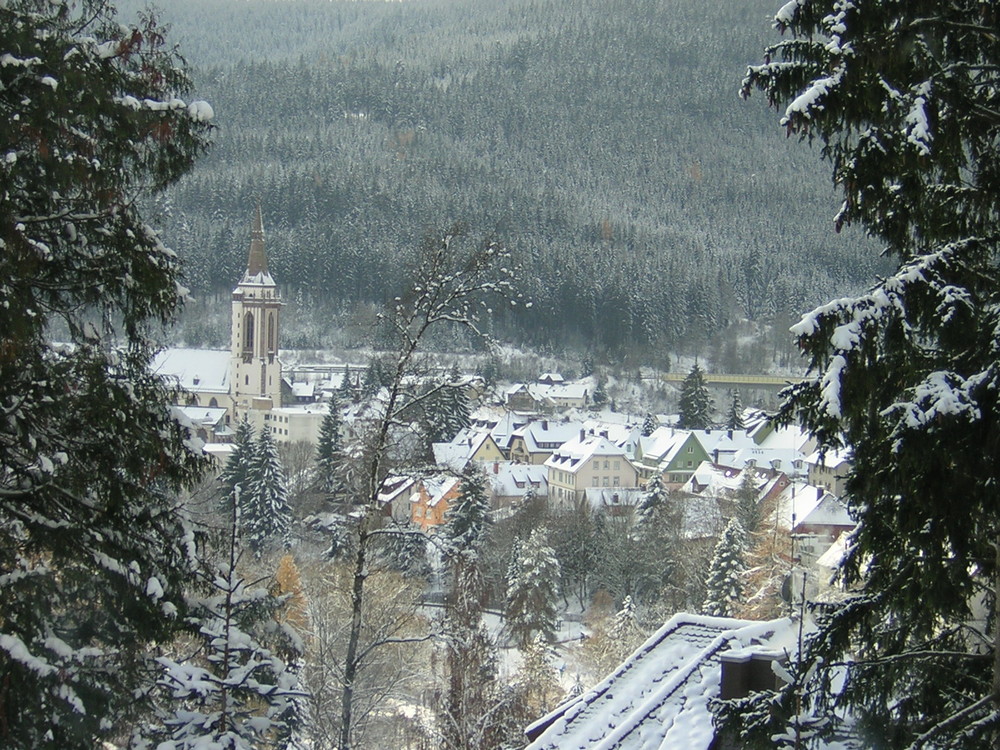 Neustadt im Winter