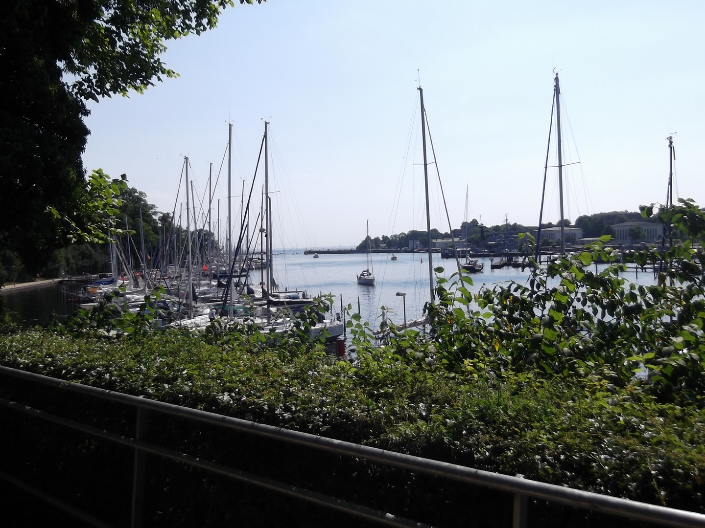 Neustadt in Holstein Yachthafen Foto & Bild deutschland, europe