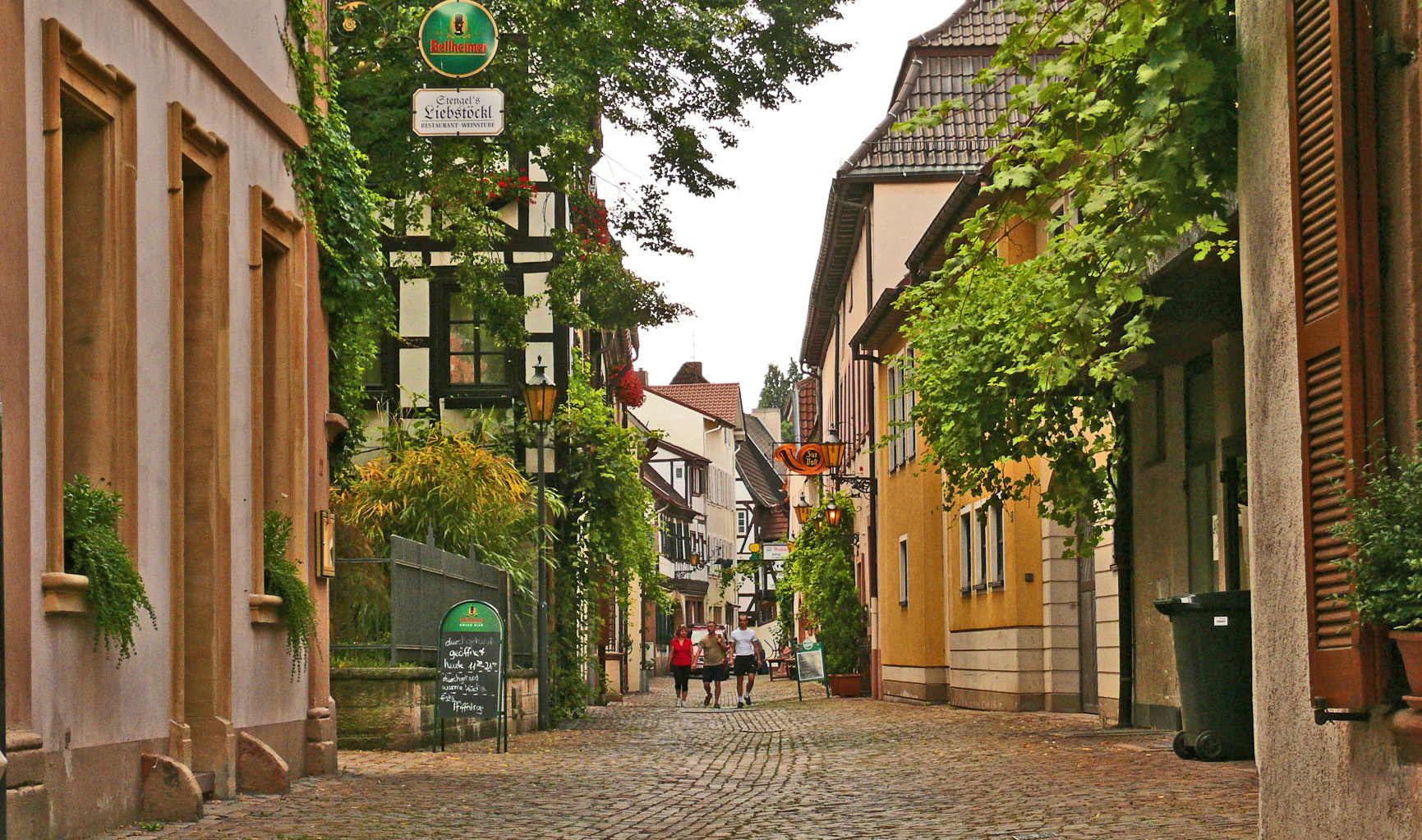 Singletreff neustadt weinstraße