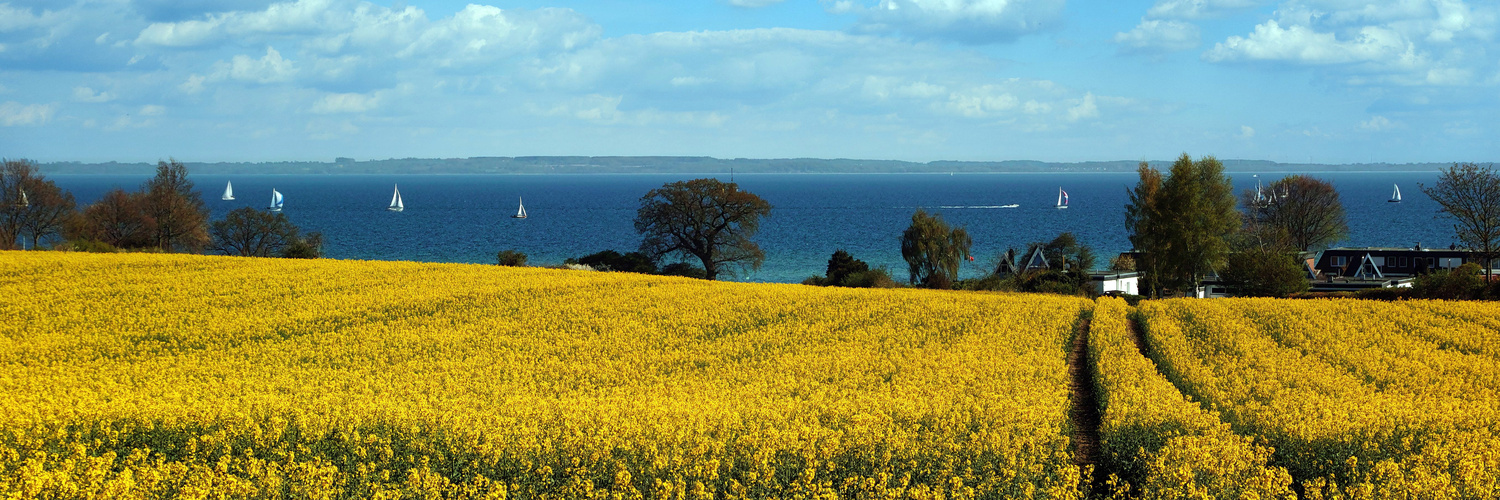 Neustadt/Ostsee Retin