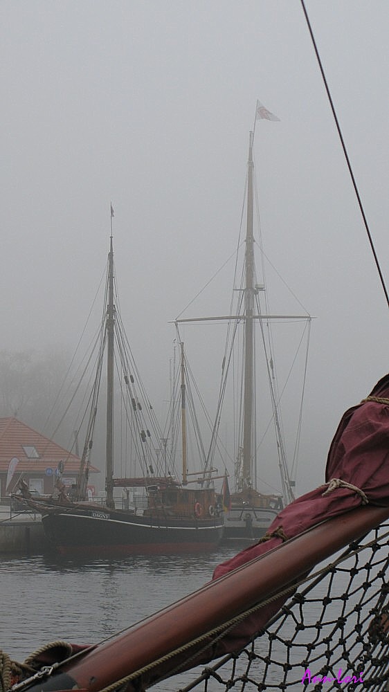 Neustädter Hafen im Nebel