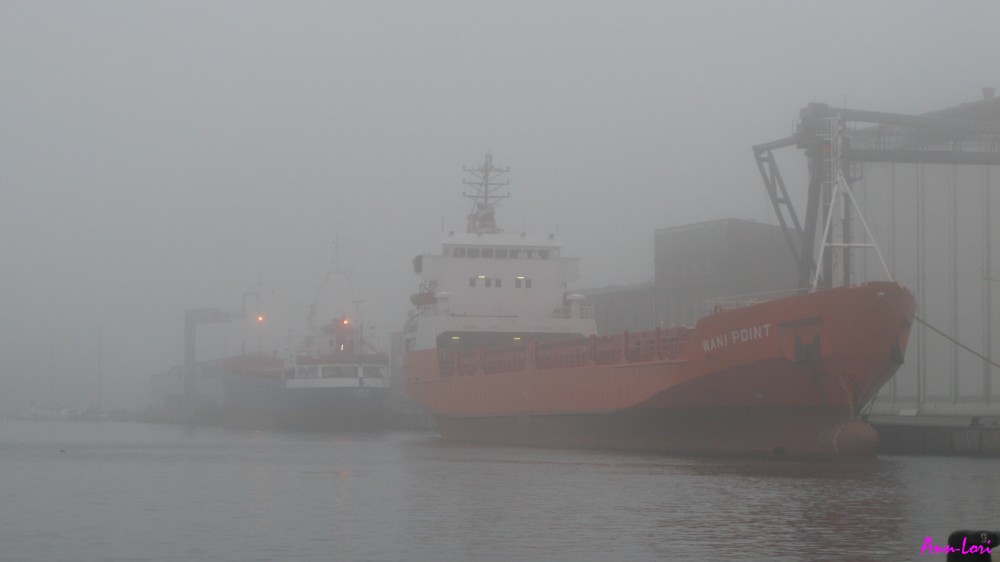 Neustädter Hafen im Nebel II