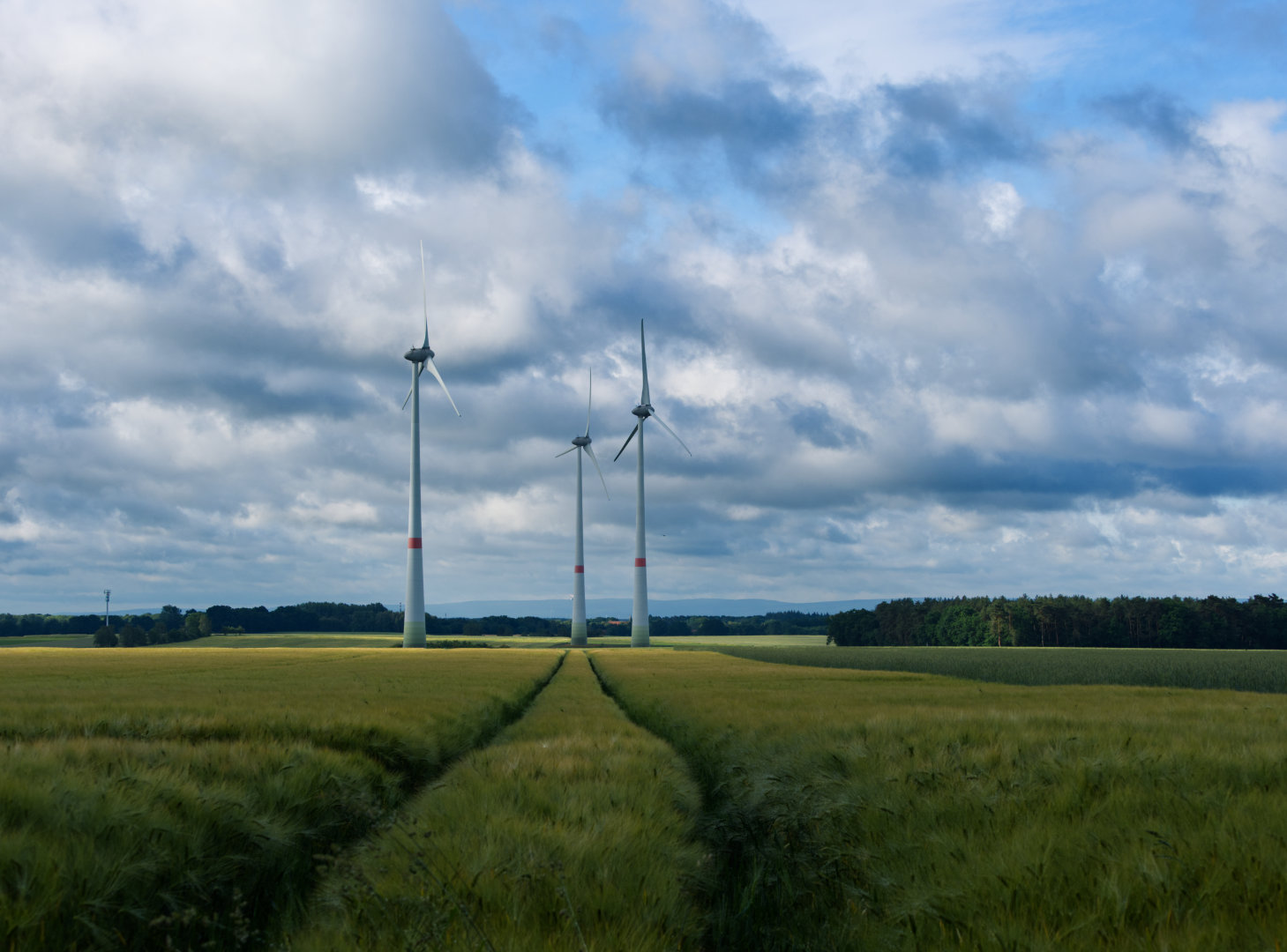 neustädter Land