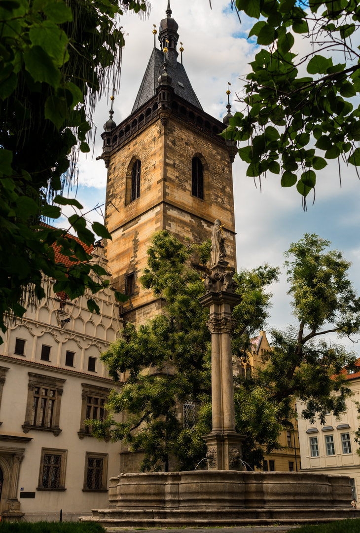 Neustädter Rathaus & Brunnen mit Pestsäule - Prag