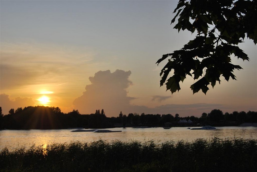 Neustädter See Magdeburg Foto & Bild landschaft, bach, fluss & see