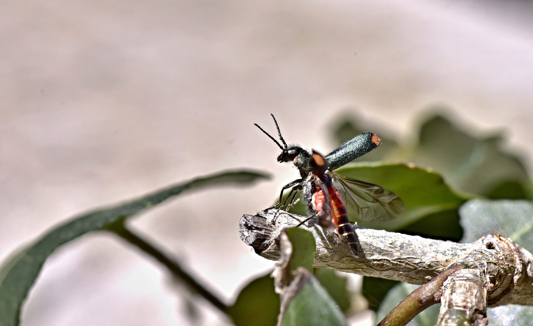 Neustart in eine bessere Zeit