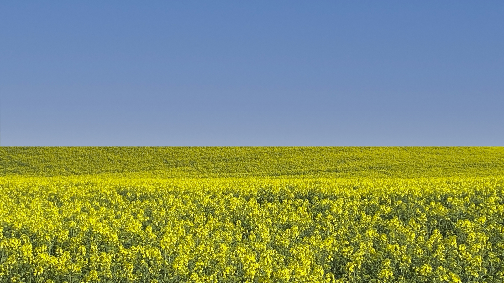 Neutrale Landschaft