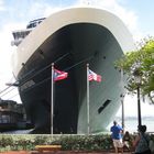 NEUW AMSTERDAM im Hafen von Puerto Rico/Karibik 