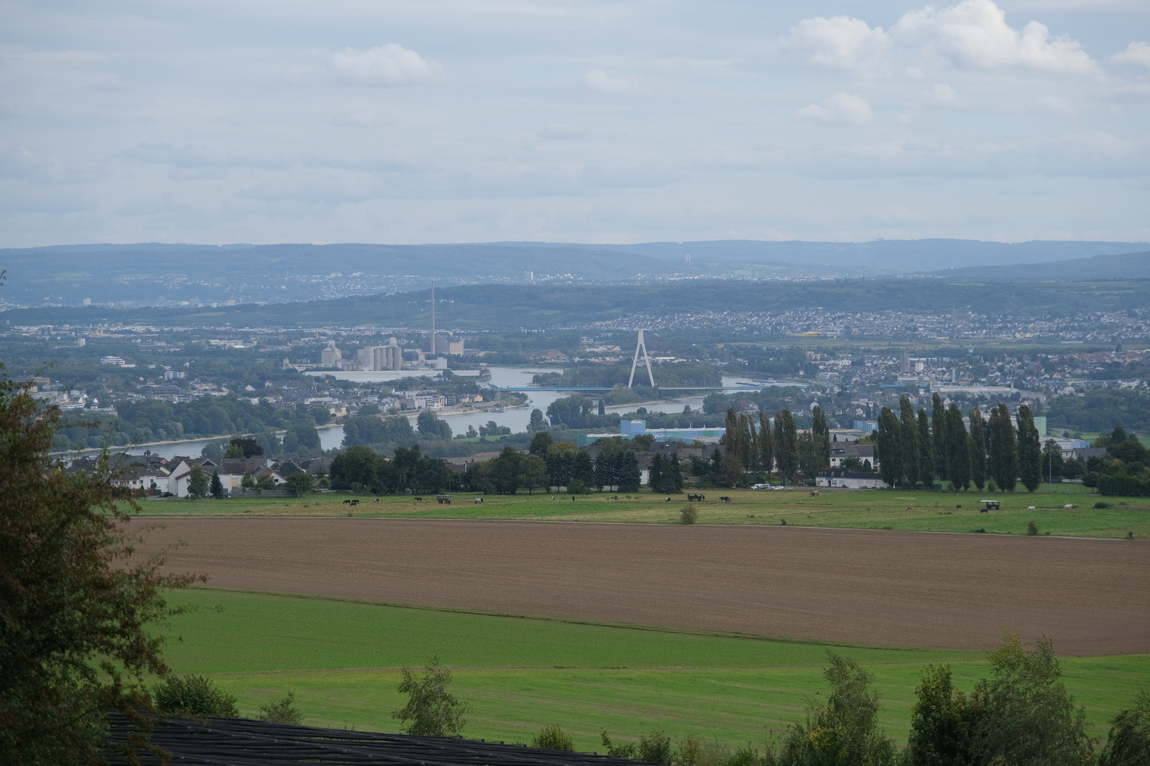 Neuwieder Becken