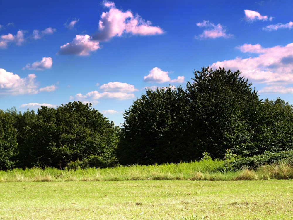 Neuwieder Landschaft