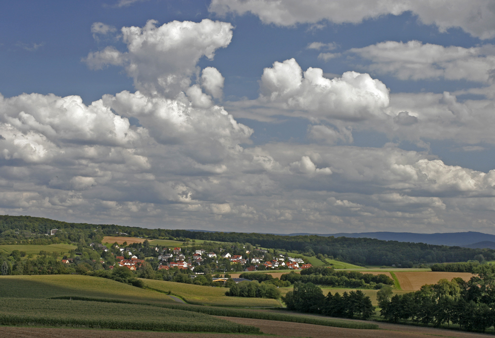 Neuwiedermuß