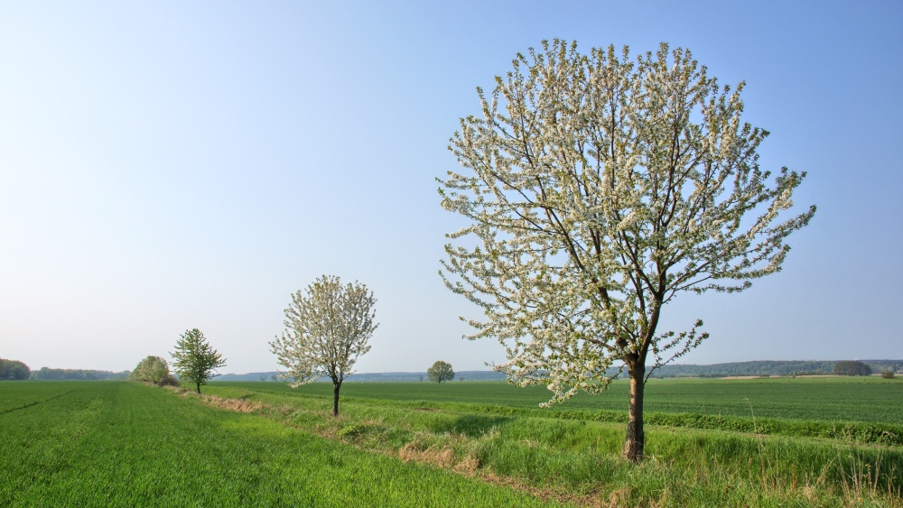 Neuzeller Niederung