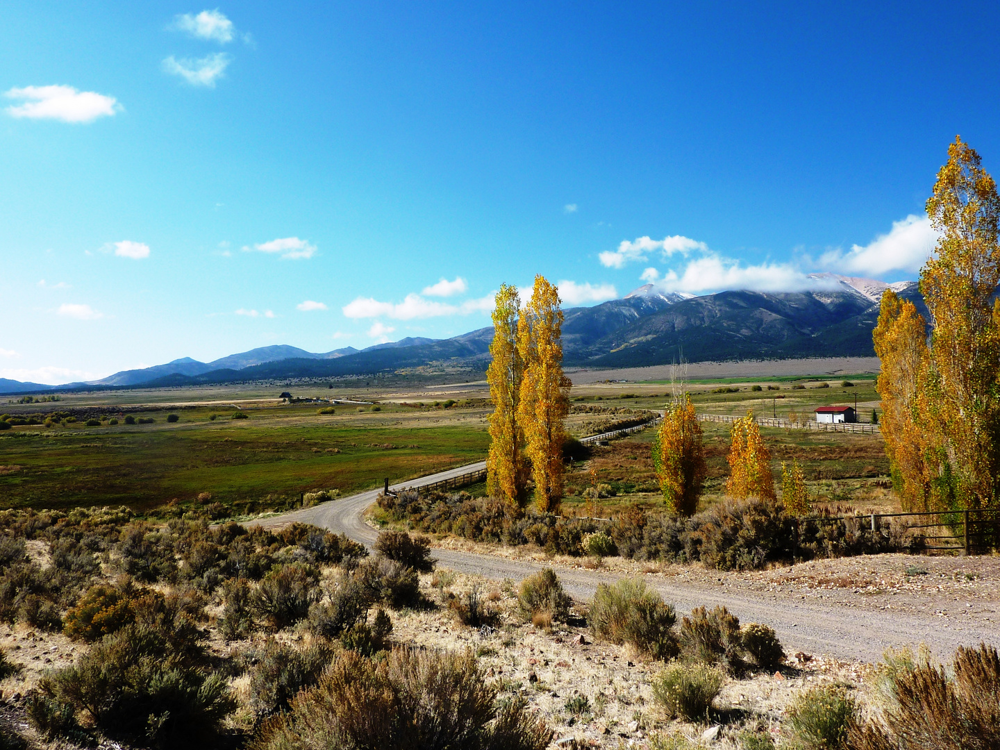 Nevada - an der U.S. 395