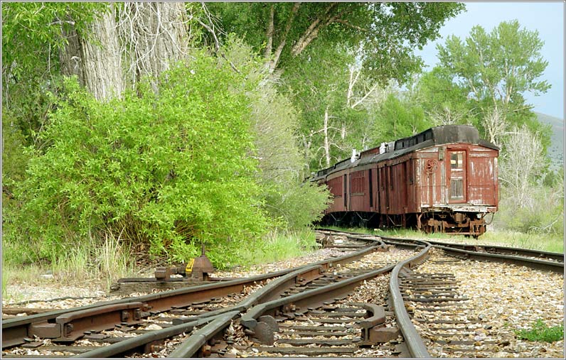 Nevada City Train