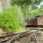 Nevada City Train