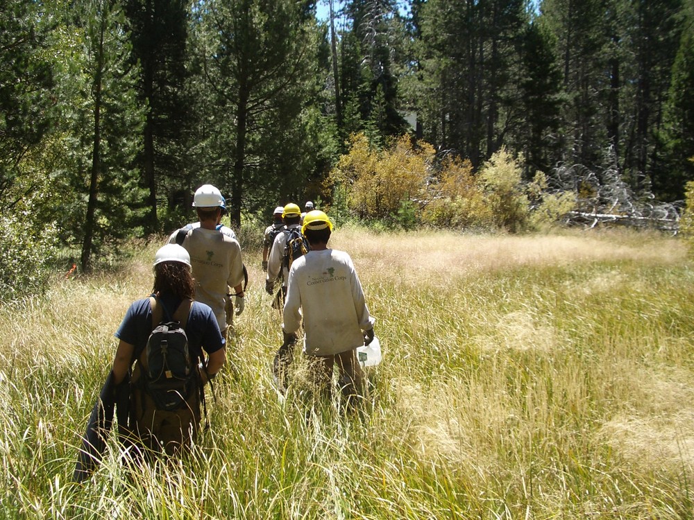 Nevada Conservations Corps in California Lake Tahoe