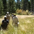 Nevada Conservations Corps in California Lake Tahoe