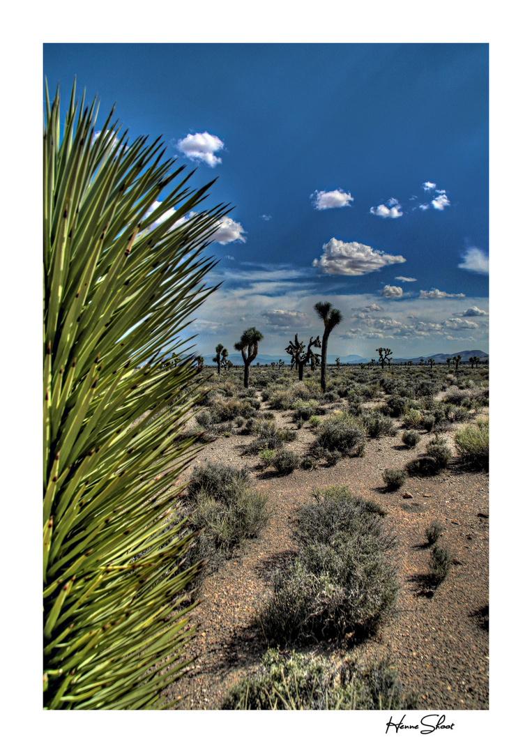 Nevada Desert near Area51