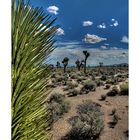 Nevada Desert near Area51