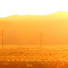 Nevada Desert Sunset