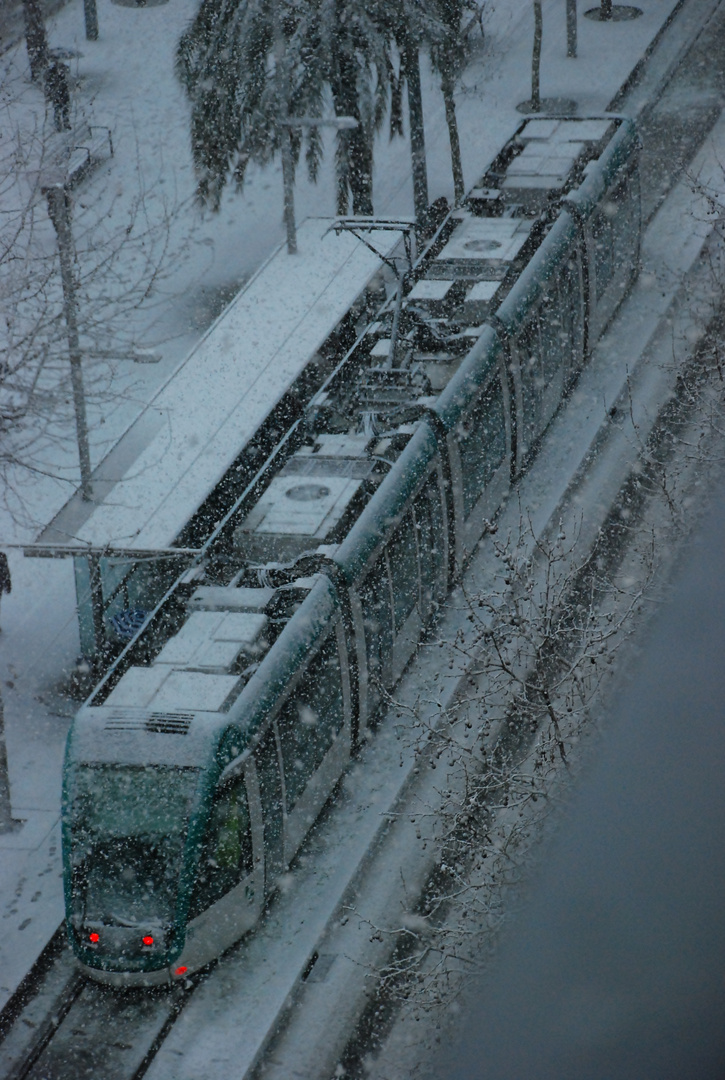 Nevada en BCN 2010 (4)