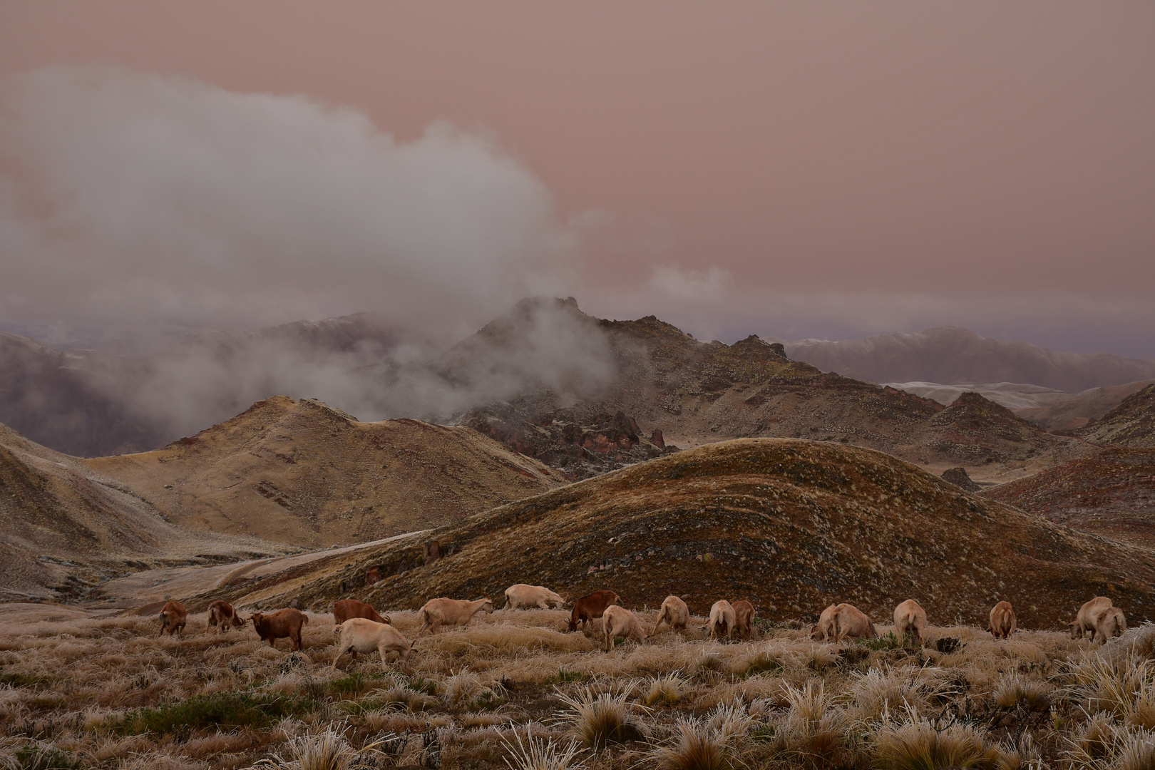 Nevada en el Valle Encantado