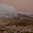 Nevada en el Valle Encantado