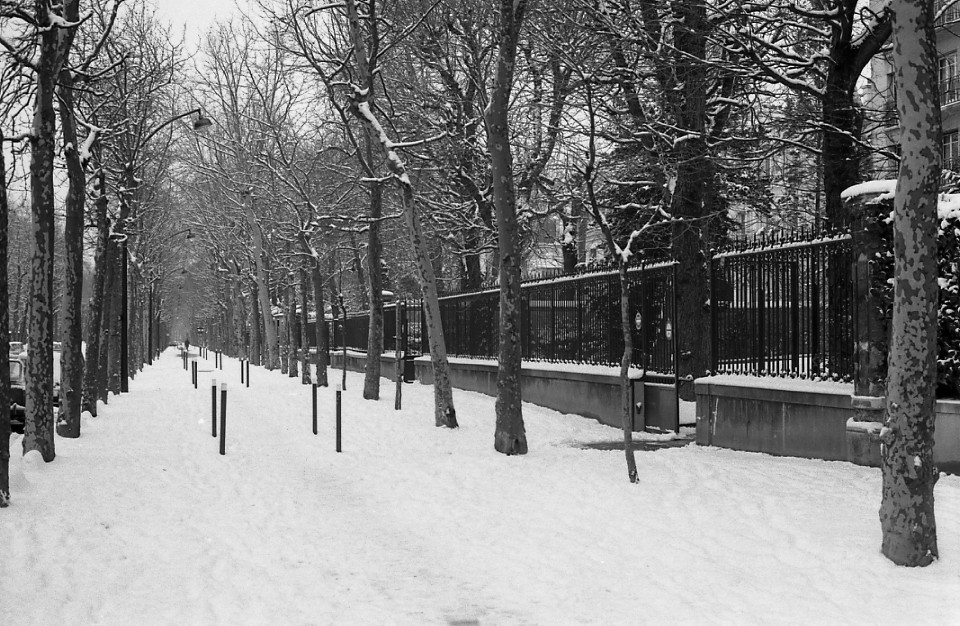 Nevada en Neuilly (Paris) año 1978