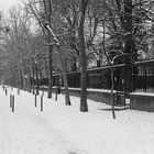 Nevada en Neuilly (Paris) año 1978