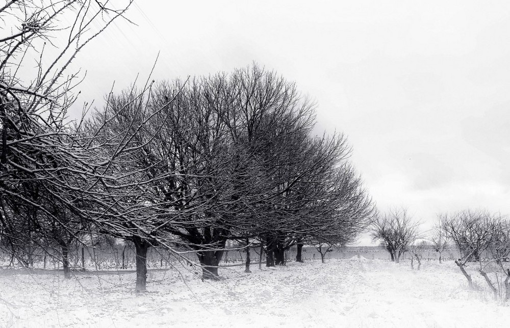 Nevada en Perdriel