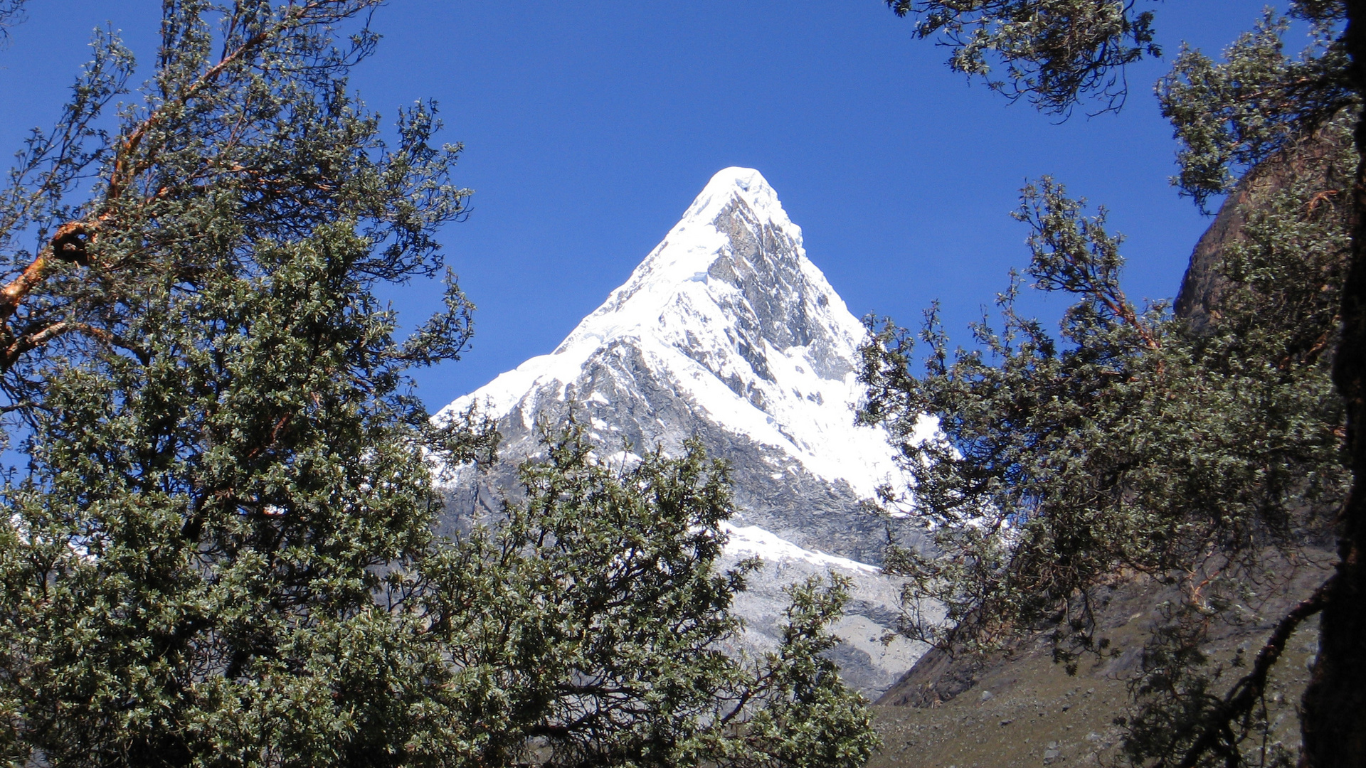 Nevado Artesonraju 6025m Cordillera Blanca Peru