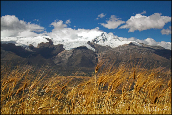 Nevado Copa