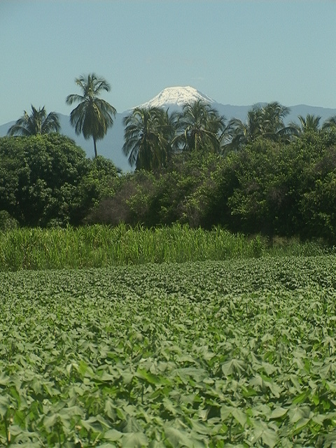 Nevado del tolima