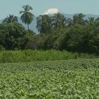 Nevado del tolima