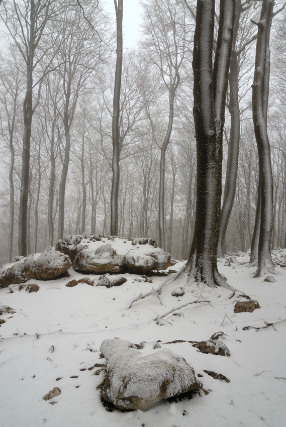 Nevando en Opakua