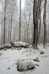 Nevando en Opakua