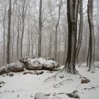 Nevando en Opakua