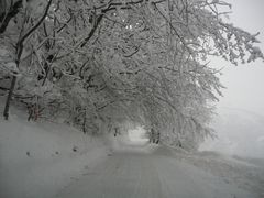 ..neve..