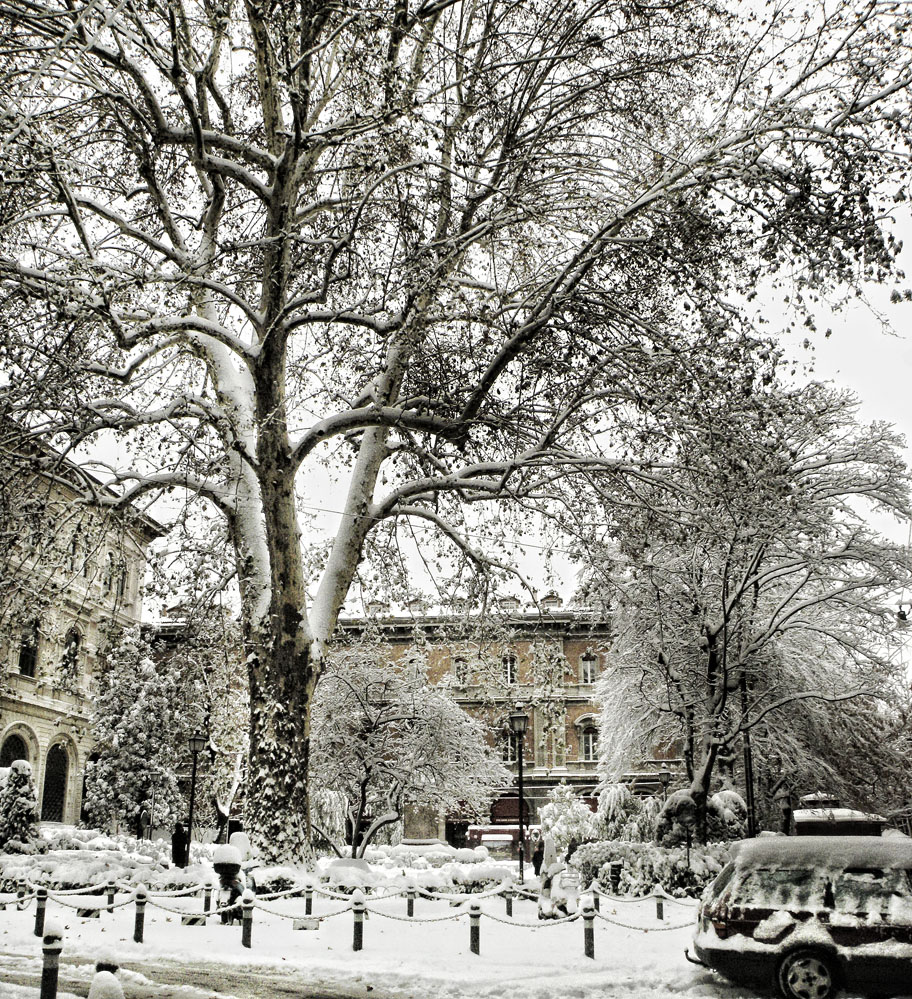 neve a bologna