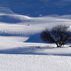 Neve a Casere di Predoi(BZ)