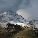 Neve a Palermo