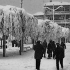 Neve a piazza Garibaldi