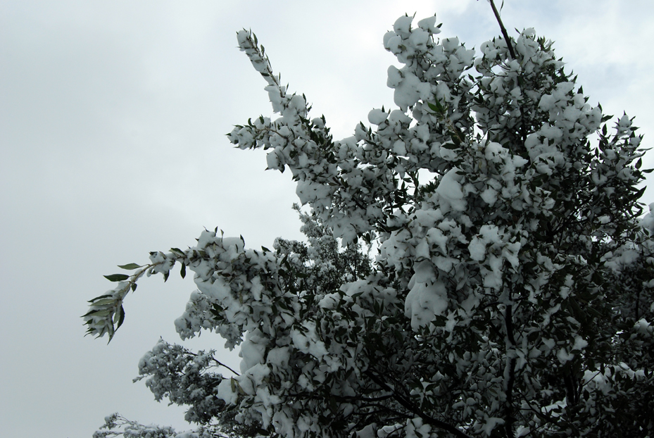 neve a Roma