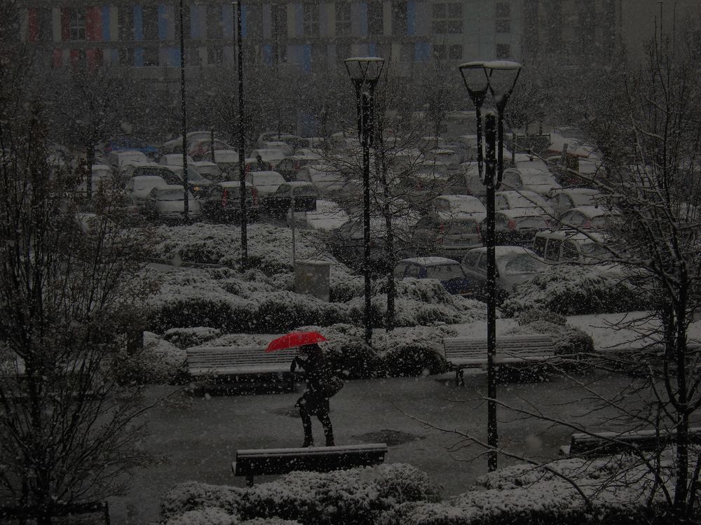 Neve al parcheggio