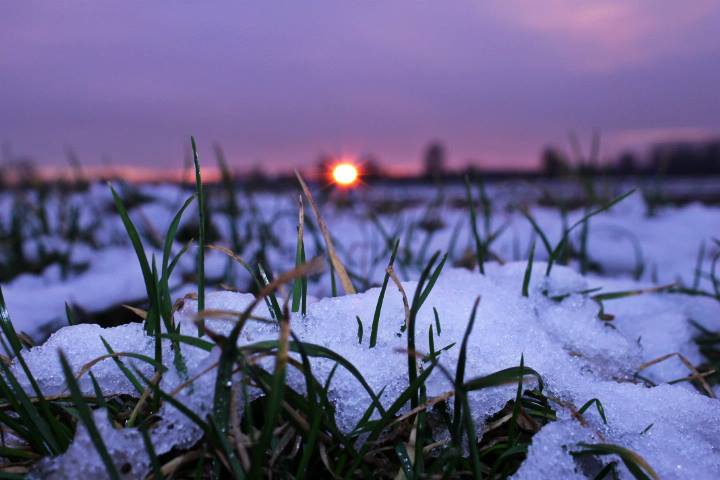 Neve al tramonto